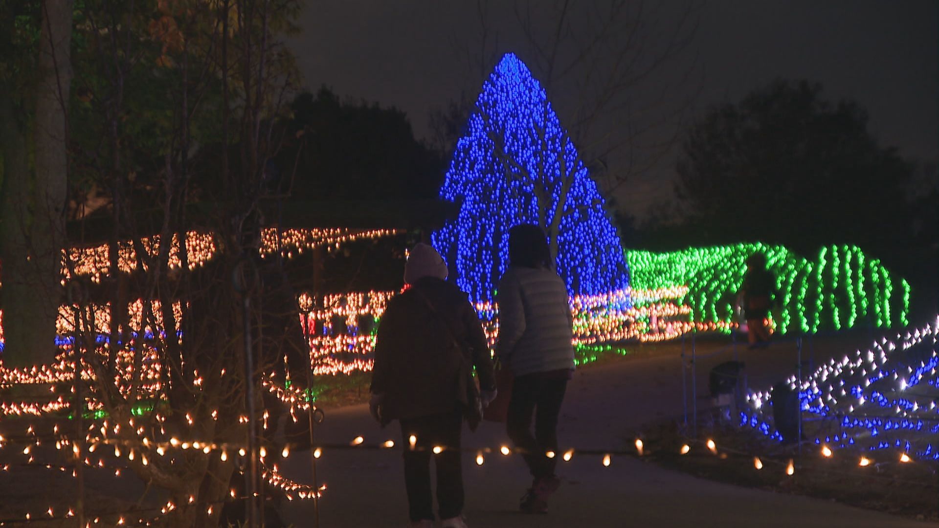 国営讃岐まんのう公園で29日からイルミネーション テーマは「空と海を