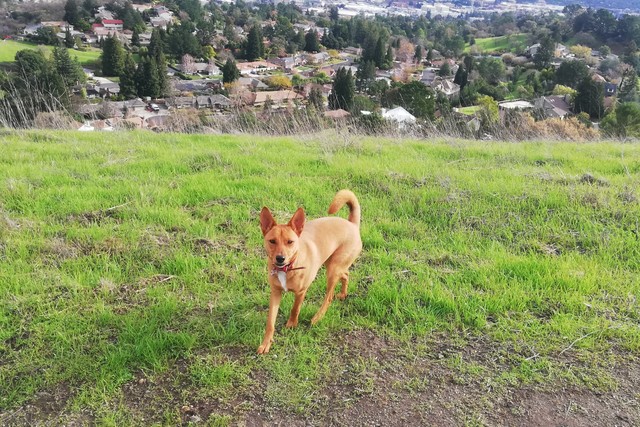 家の近くもこの解放感！