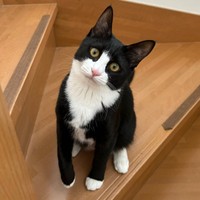 生後6カ月ころのめいちゃん（画像提供：奈神さん）