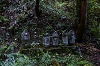 岩屋寺の参道沿いにある地蔵