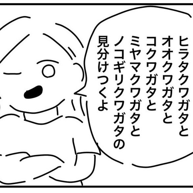クワガタならまかせて（こしさんぽさん提供）