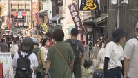 観光　資料