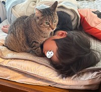 いつも大好きな猫と扇風機にかこまれて（提供：なみそさん）