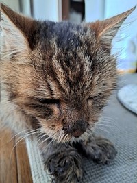 痛みがないことが唯一の救いだった