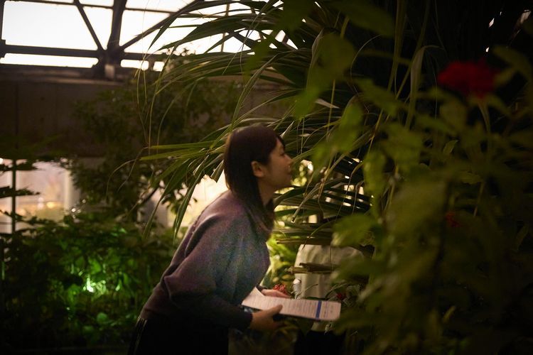 夢の島熱帯植物館の大温室を使った「匂う森」を体験する女性
