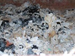 隔週木曜は「捨て犬の日」　行政と流通が身勝手な飼い主を生む①