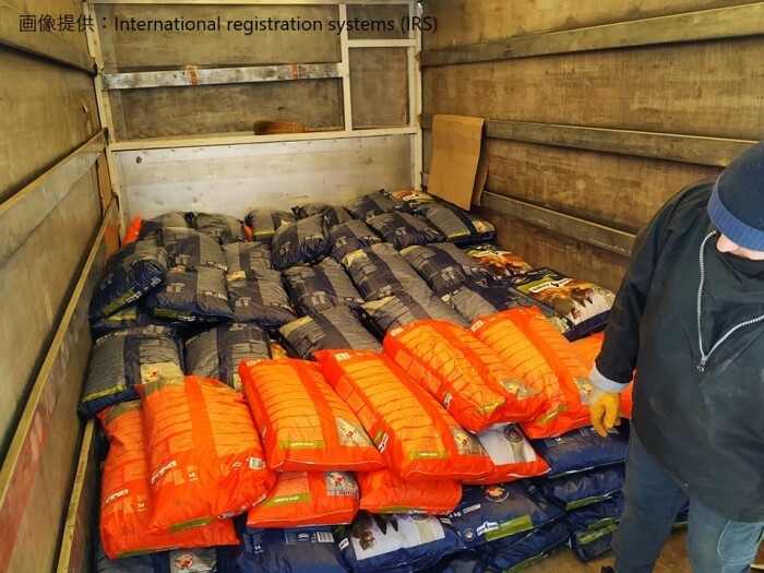 IRSは今回のウクライナ危機以前から保護団体をネットワークでつないでいたため、迅速に動けているよう（IRS提供）