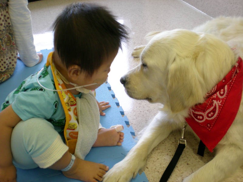 仲良しだったゆづくんと。ベイリーは最後まで彼に寄り添った