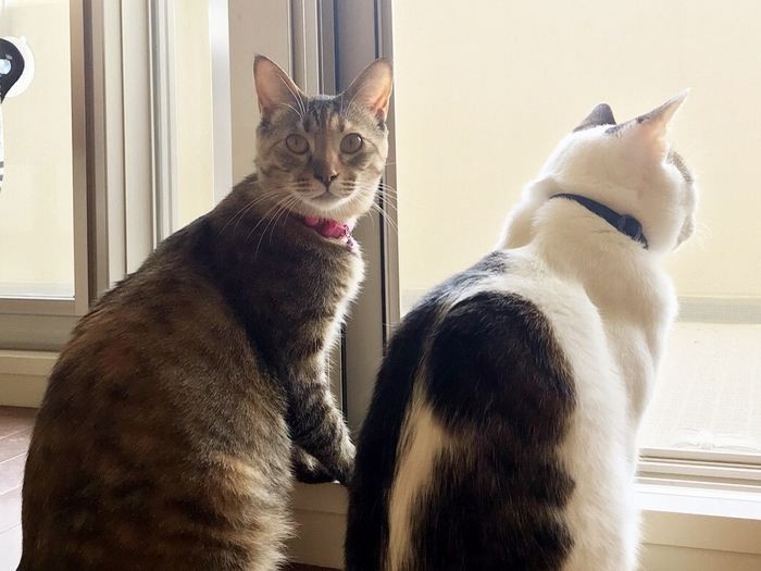 外をながめるのが好き