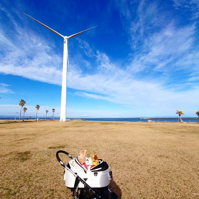海にきたよ〜！