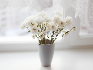 元彼からのずるい言葉。終わったはずの恋が一通の連絡で揺らいでいく