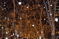 仙台で「光のページェント」が始まった12月の夕方。個人タクシーのドライバーがふらつきながら手を挙げる1人の高齢女性を見つけた（photoACより「雅夢」さん撮影、イメージ画像）