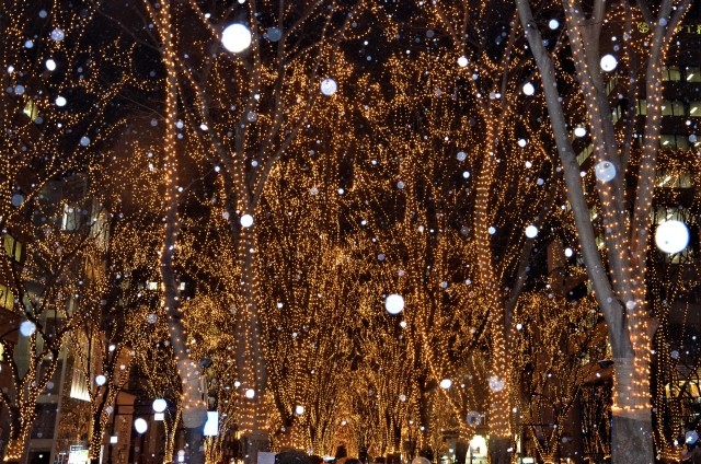 仙台で「光のページェント」が始まった12月の夕方。個人タクシーのドライバーがふらつきながら手を挙げる1人の高齢女性を見つけた（photoACより「雅夢」さん撮影、イメージ画像）