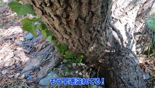 「もう早速溢れてる！」／ちーとん。さん提供
