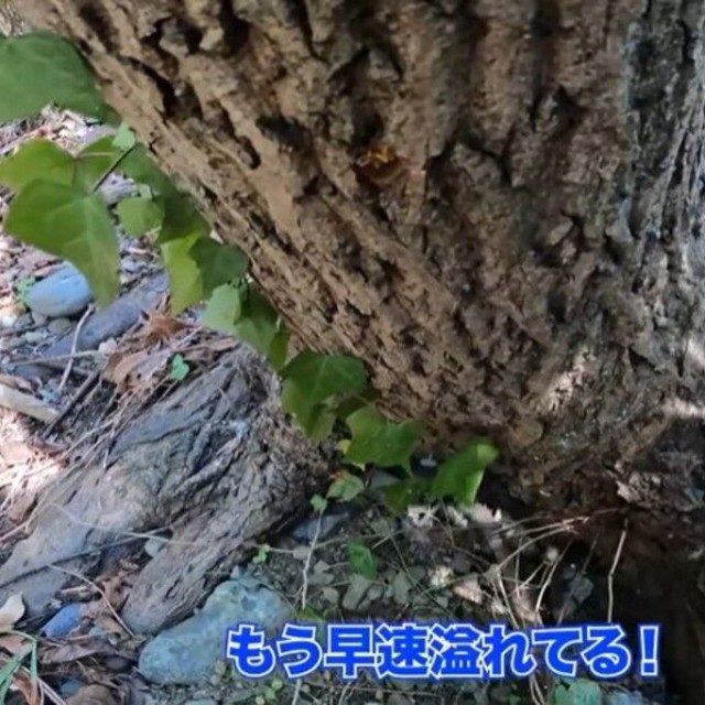 「もう早速溢れてる！」／ちーとん。さん提供