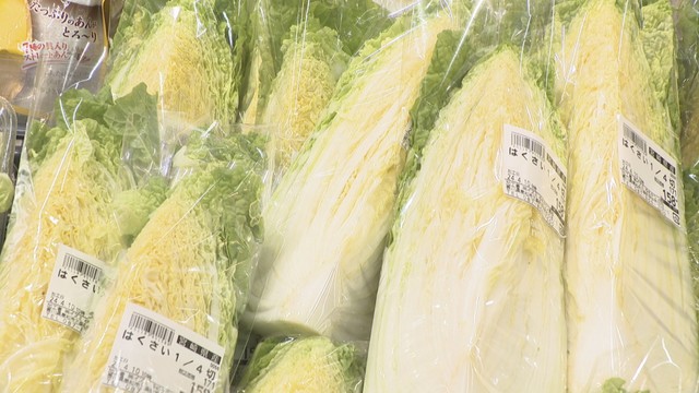 ハクサイは去年の2倍！野菜の価格高騰はいつまで続く？市場関係者は「価格を上げなければ産地が存続できない…」　香川