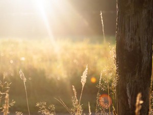 最後の大会に来なかった母を責めたことは、ずっと心に残る小さな後悔