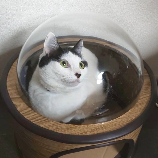 お母さんお手製の宇宙船に乗って