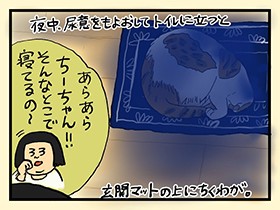猫…？　残念すぎる真夜中の勘違い　やっぱ、猫じゃけぇ(48)