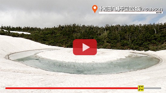 #573十和田八幡平国立公園(ドラゴンアイ)③