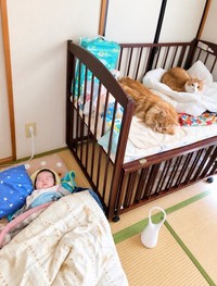 ベビーベッドの中には猫2匹、赤ちゃんは畳に敷いた布団の上に（yopichさん提供）