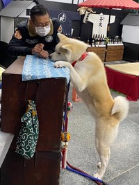 「今日の連絡事項は？」「駐車場の雪かきについてになります」（画像提供：小林酒店さん @kobasake_tochio）