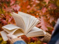 専業主婦になり行き場を失った気持ち。そして私はエッセイに出会った