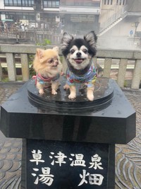 幸いペットも家族も無事（鮪さん提供）