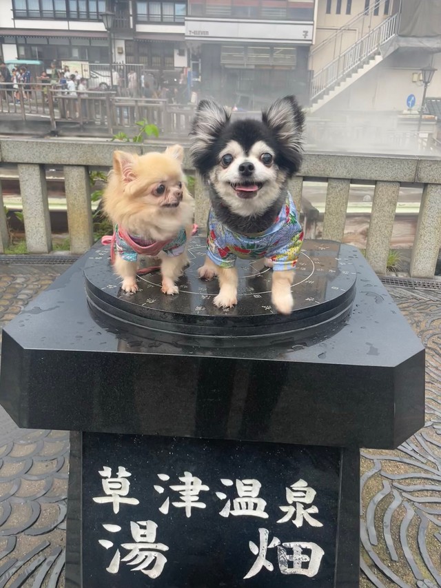 幸いペットも家族も無事（鮪さん提供）