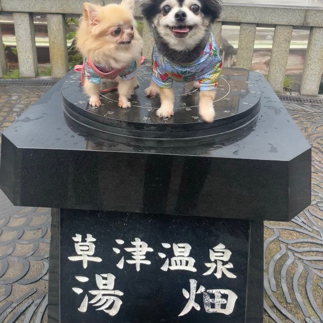 幸いペットも家族も無事（鮪さん提供）