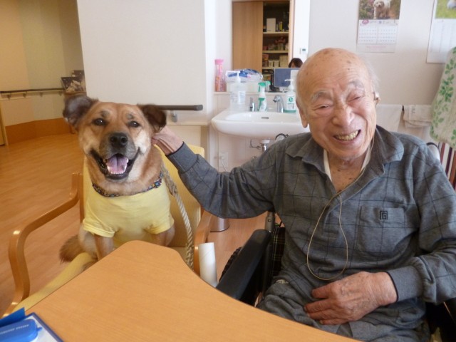 未来へつなぐ 犬や猫と入居できる特別養護老人ホーム さくらの里 山科 前編 犬 猫との幸せな暮らしのためのペット情報サイト Sippo