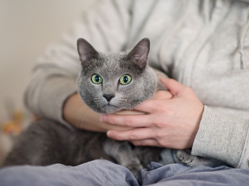 「ふ〜。うちのお母さん職人だから、腕力あるの」（小林写函撮影）