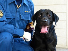 ここほれワンワン、床下から拳銃を発見！　警察犬に警視総監賞