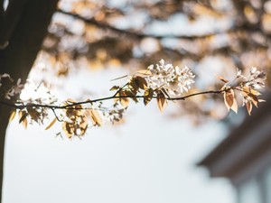 やりがいを感じていた仕事が憂鬱に。1ヶ月仕事を休み、学んだこと