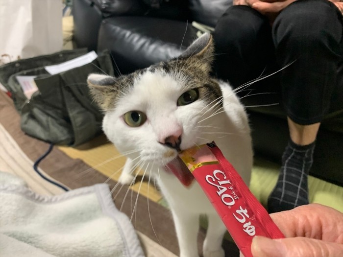 利用者からおやつをもらう