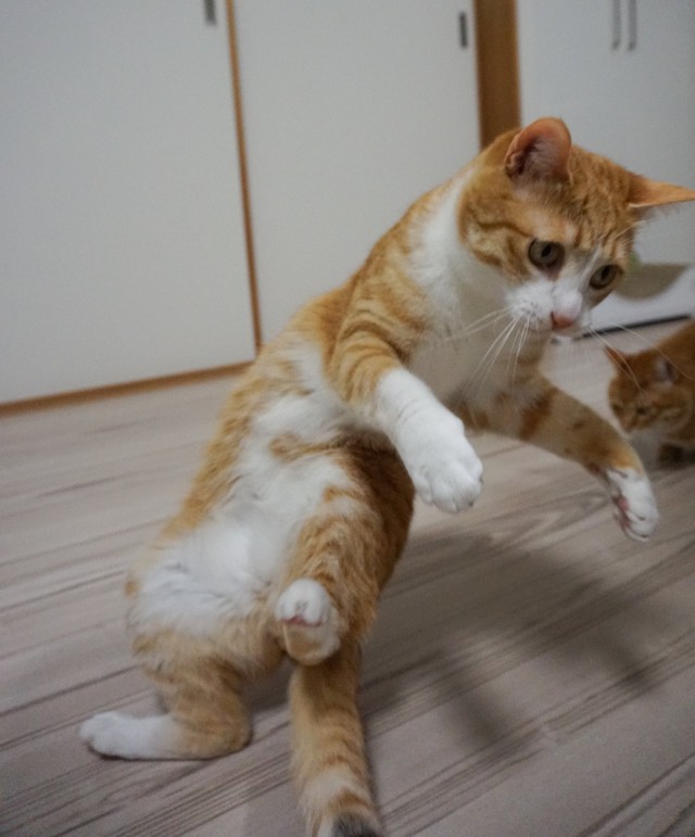 おっ～と（提供写真）