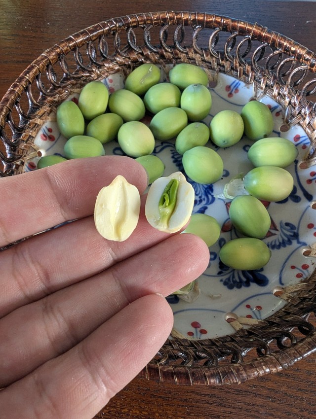 豆のように二つに割れる（やまもと農園提供）