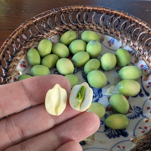 豆のように二つに割れる（やまもと農園提供）