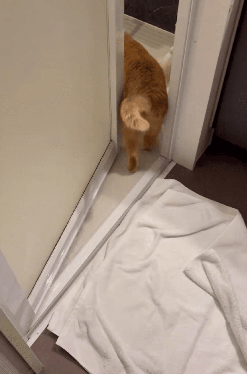 お湯が入ると入店