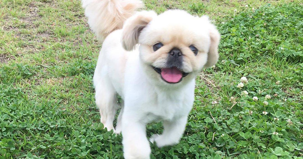 ec44eba38b10cad56eb4044b66d114