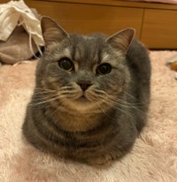 「おててないない上手なのほめて！」というひと言とともに投稿されていた写真（画像提供：りんくんとおとちゃん）