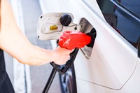 画像はイメージ（show999／stock.adobe.com）