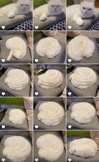 「クリーム」がしあがっていく「工程」もポスト（画像提供：もろとむく@まるかさん）