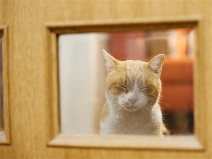 「僕がこの家に来たのは正しかったのだろうか」（小林写函撮影）