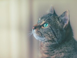 考え方もセクシュアリティも世の中には色んな人がいて、そのままを許容する世界がいい