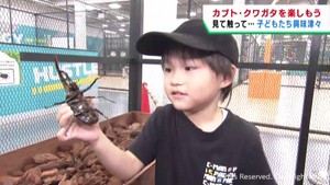カブトムシやクワガタに触れ合えるイベント　仙台・泉区