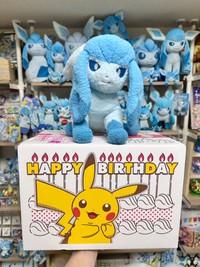 今回配達されたポケモンのお誕生日BOX（ねぎとろさん提供）
