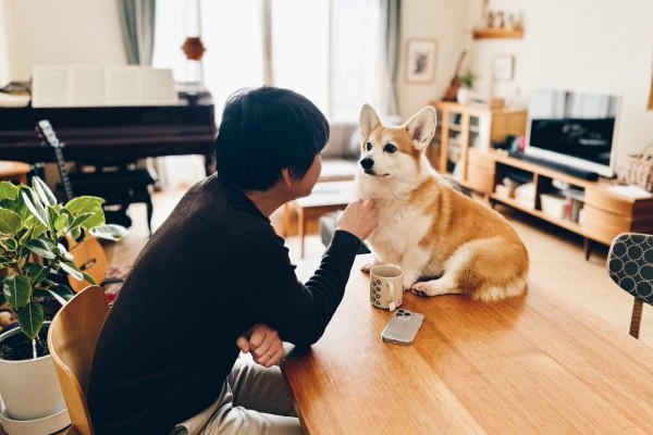 お父さんと同じ目線で語りたいガブちゃん（画像提供：ガブちゃんさん）