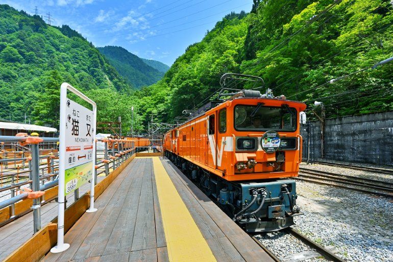2026年最新】富山・黒部峡谷トロッコ電車4月20日運行開始 秘境「猫又駅