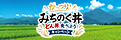 みちのく丼